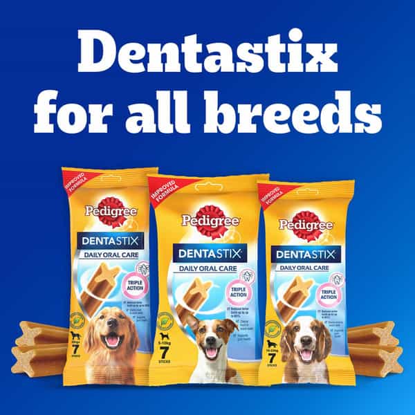 Pedigree Dentastix Oral Care Dog Treat | Adult Medium Breed (10-25 Kg) | 2.88 Kg (Pack Of 16)