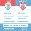 Nutrabud Marine Collagen Powder | No Added Sugar | Orange Flavor | 200g