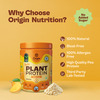Origin Nutrition | Mango Flavour With 25G Plant Based Protein | 7 Servings