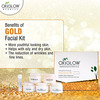 Oxyglow Hebals Facial Kit Gold 260 Gram