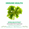 Bliss Welness Plant Based Spirulina Supplement For Immunity Booster For Men Women| 120 Veg Tablets
