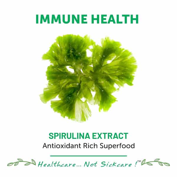 Bliss Welness Plant Based Spirulina Supplement For Immunity Booster For Men Women| 120 Veg Tablets