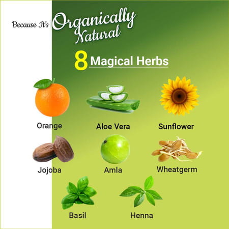 Indus Valley Organically Natural Damage Free Gel Hair Color-Dark Brown