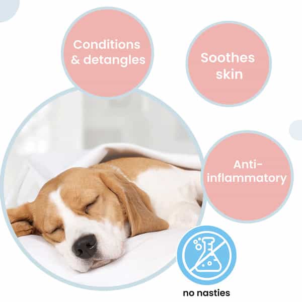 Koparo Dog Shampoo Fragrance - Honey And Vanilla | Skin Health Nourishing Hair & Shiny Body - 300 Ml