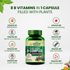 Vlado'S Himalayan Organics Plant Based B-Complex - 60 Veg Capsules