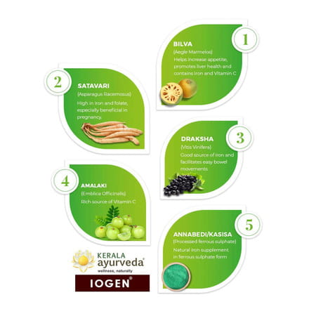 Kerala Ayurveda Iogen Iron Syrup 200 Ml | Helps Improve Hemoglobin Levels & For Daily Energy