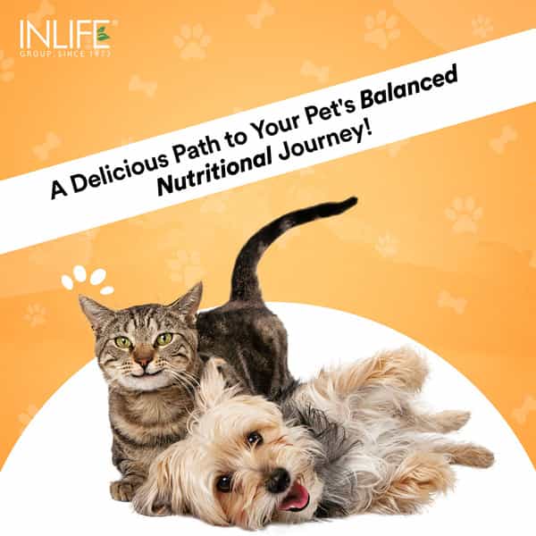 Inlife Nutritional Meal Mix Powder For Dogs Cats And Pets | Pet Protein Supplement - 500G (Mango)