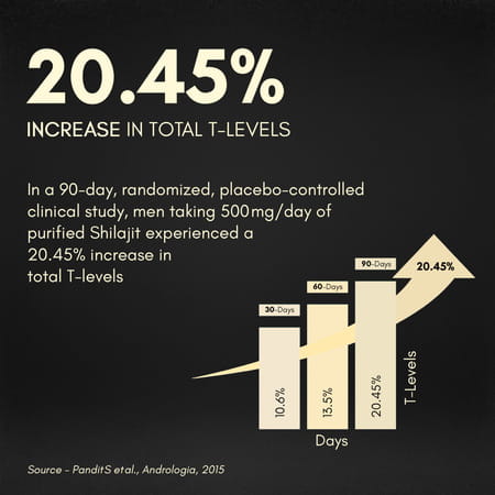 Rasayanam Shilajit Gold Resin|75% Fulvic Acid + Ksm - 66 For Strength & Recovery| 20g Pack Of 1