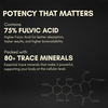 Rasayanam Shilajit Gold Resin|75% Fulvic Acid + Ksm - 66 For Strength & Recovery| 20G Pack Of 1