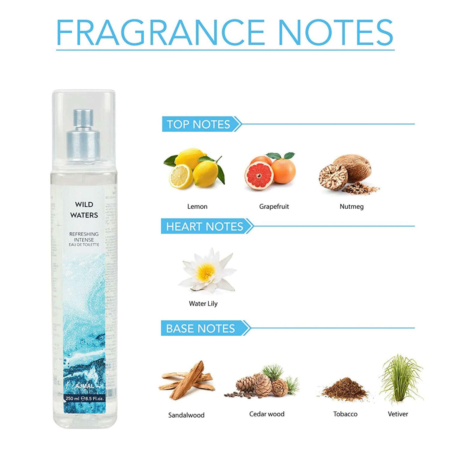 Buy AJMAL WILD WATERS EAU DE TOILETTE AQUATIC PERFUME 250ML OFFICE WEAR