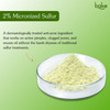 Bake Acne Erase Face Serum With Niacinamide & Azelaic Acid For Pimples | Blackheads & Whiteheads