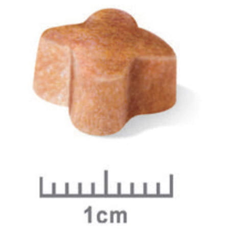 Royal Canin German Shepherd | Puppy Food | 12 Kg | Dry Food | Supports Immune System