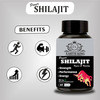 Earth King Power Shilajit/Shilajeet Extract Capsule For Stamina & Energy - 60 Capsules