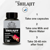 Earth King Power Shilajit/Shilajeet Extract Capsule For Stamina & Energy - 60 Capsules