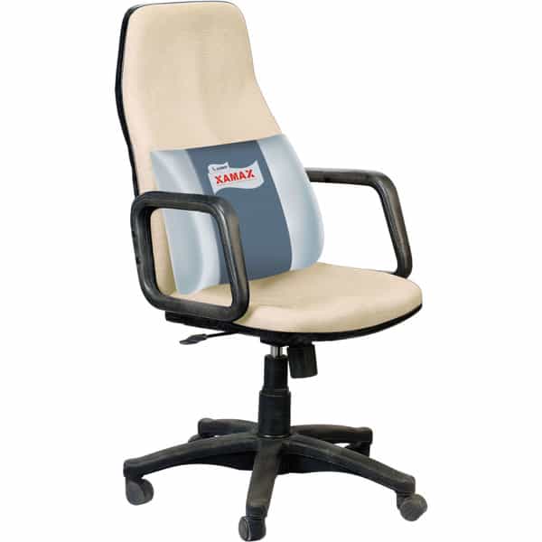 Amron Xamax Grey Medium Regular Backrest