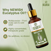 Newisheucalyptus Oil For Hair Pain Relief|Undiluted Aromatherapy Therapeutic Grade 30Ml-Pack Of 2