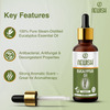 Newisheucalyptus Oil For Hair Pain Relief|Undiluted Aromatherapy Therapeutic Grade 30Ml-Pack Of 2