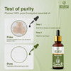 Newisheucalyptus Oil For Hair Pain Relief|Undiluted Aromatherapy Therapeutic Grade 30Ml-Pack Of 2