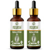 Newisheucalyptus Oil For Hair Pain Relief|Undiluted Aromatherapy Therapeutic Grade 30ml-Pack Of 2