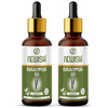 Newisheucalyptus Oil For Hair Pain Relief|Undiluted Aromatherapy Therapeutic Grade 30Ml-Pack Of 2