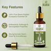 Newisheucalyptus Oil For Hair Pain Relief|Undiluted Aromatherapy Therapeutic Grade 30ml-Pack Of 2