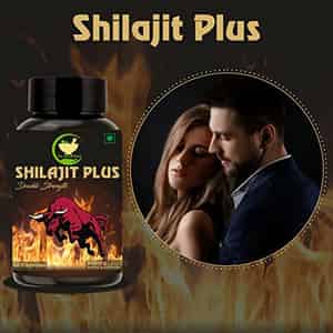 Fij Ayurveda Shilajit/shilajeet Plus Extract Capsule | Premium | Adults - 800mg 60 Capsules