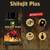 Fij Ayurveda Shilajit/Shilajeet Plus Extract Capsule | Premium | Adults - 800mg 60 Capsules