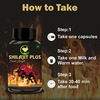 Fij Ayurveda Shilajit/Shilajeet Plus Extract Capsule | Premium | Adults - 800mg 60 Capsules