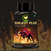Fij Ayurveda Shilajit/Shilajeet Plus Extract Capsule | Premium | Adults - 800mg 60 Capsules
