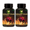 Fij Ayurveda Shilajit/Shilajeet Plus Extract Capsule | Premium | Adults - 800mg 60 Capsules