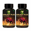 Fij Ayurveda Shilajit/Shilajeet Plus Extract Capsule | Premium | Adults - 800mg 60 Capsules