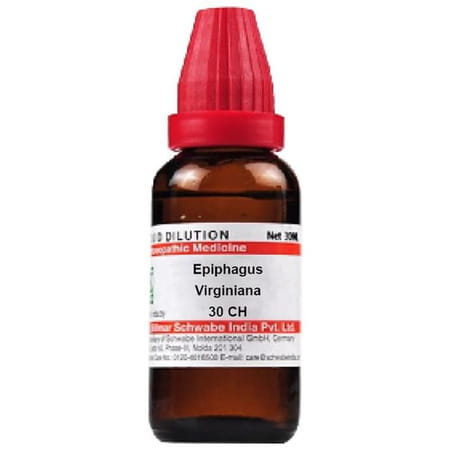 Dr. Willmar Schwabe India Epiphagus Virginiana Dilution 30 Ch 30 Ml