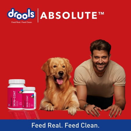 Drools Absolute Skin & Coat Tablet- Dog Supplement 110 Pieces