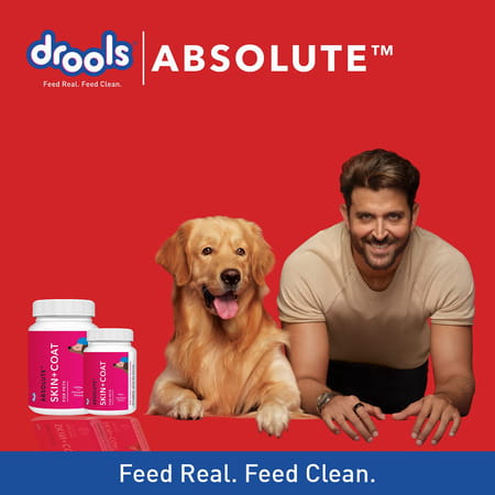Drools Absolute Skin & Coat Tablet- Dog Supplement 110 Pieces