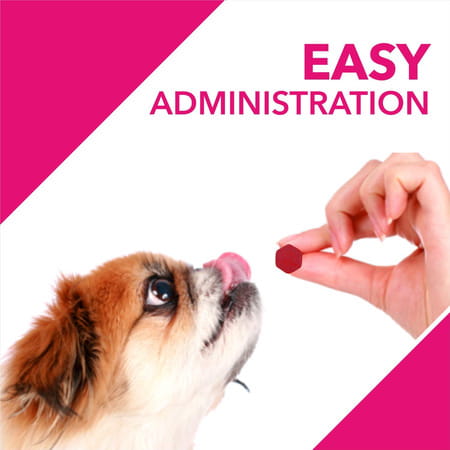 Drools Absolute Skin & Coat Tablet- Dog Supplement 110 Pieces