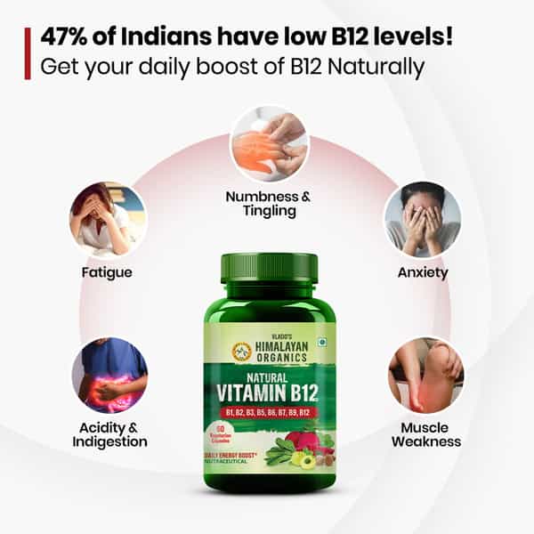 Vlado's Himalayan Organics Natural Vitamin B12 - 60 Veg Capsules