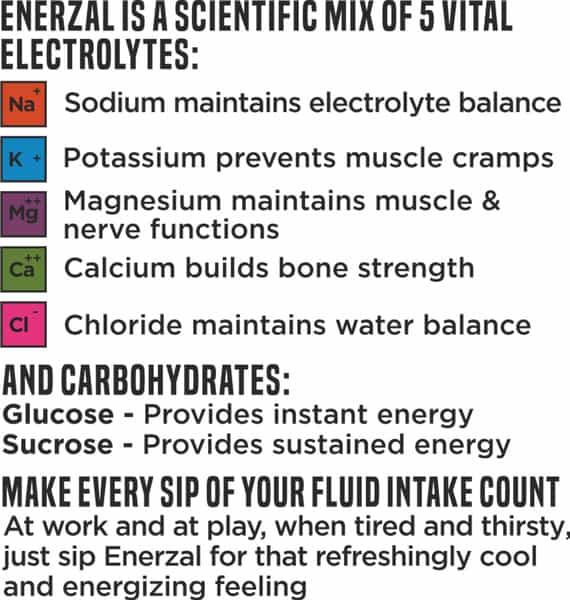 Enerzal Blitz Isotonic Hydration & Electrolyte Energy Drink Pet Bottle 500 Ml Each (Pack Of 3)