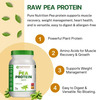 Pure Nutrition Pea Protein Isolate Powder | 100% Pure Plant-Based Protein | 25.5G Protein | 1Kg
