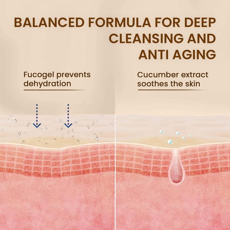 The Skin Story Aqua Fresh Daily Cleansing Facewash | 100Ml
