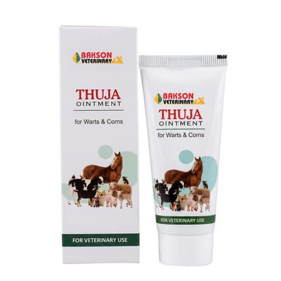 View product image 4