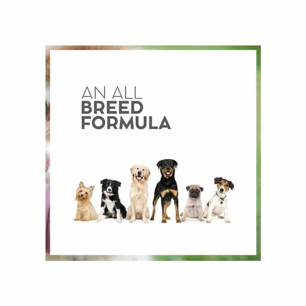 Vet Pro Hypoallergenic Dog Food | Hydrolyzed Fish Protein | 3Kg | Gluten-Free