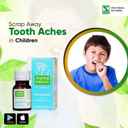 Dr. Willmar Schwabe India Chamodent 10gm