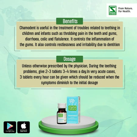 Dr. Willmar Schwabe India Chamodent 10gm