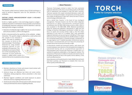 Brochure - Torch | 10 Pcs.