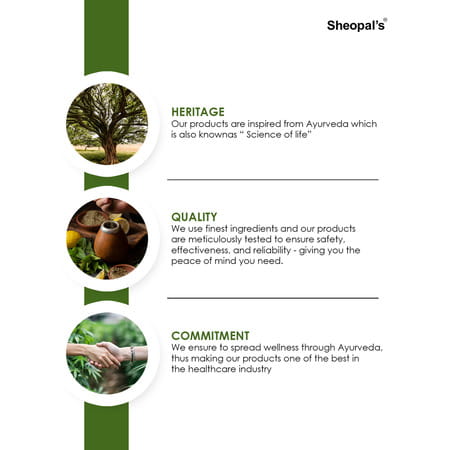 Sheopal'S Liver X Factor Detoxes The Liver And Herb 69 Vibe Booster Stamina & Strength 60+60 Caps