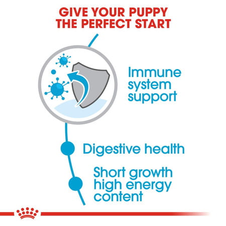 Royal Canin Medium Puppy Food | 1 Kg | Dry Food | Supports Digestive Health & Immune System