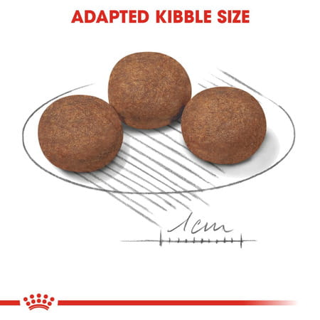 Royal Canin Medium Puppy Food | 1 Kg | Dry Food | Supports Digestive Health & Immune System