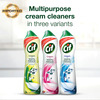Cif Floral Cream Multipurpose Surface Cleaner For Tough Stains Natural Particles 500ml