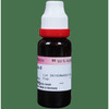 Dr. Reckeweg Ginkgo Biloba Mother Tincture Q 20 Ml
