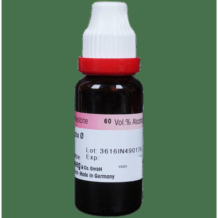 Dr. Reckeweg Ginkgo Biloba Mother Tincture Q 20 Ml